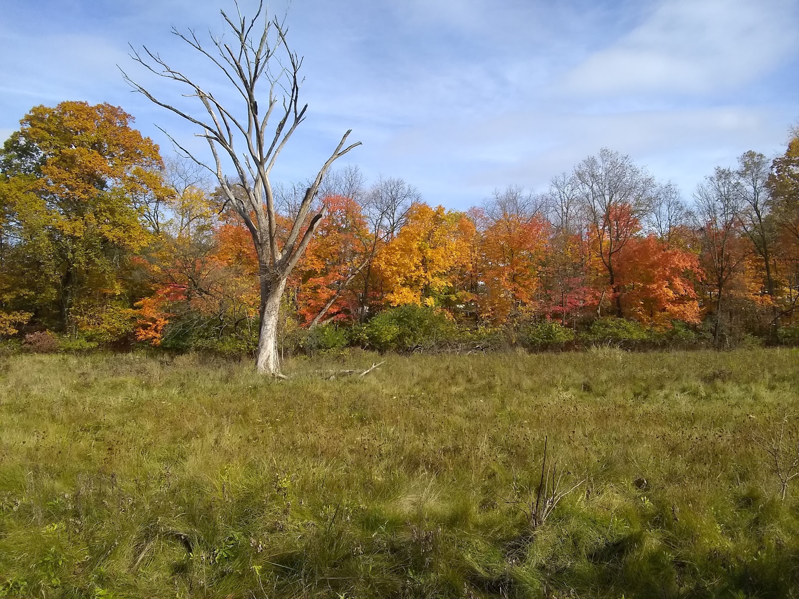 Inkster Park in Inkster